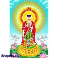 Hình Adida và vô lượng công đức